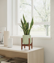 Load image into Gallery viewer, Turquoise stand:walnut