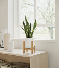 Load image into Gallery viewer, White stand:bamboo