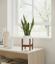 Load image into Gallery viewer, White stand:walnut