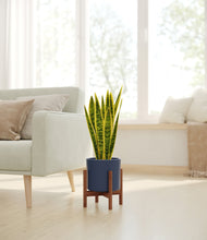 Load image into Gallery viewer, Deep Navy stand:walnut