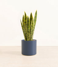 Load image into Gallery viewer, Deep Navy*****Profile