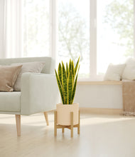 Load image into Gallery viewer, Cream stand:bamboo