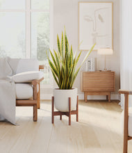 Load image into Gallery viewer, Natural Bamboo stand:walnut