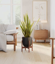 Load image into Gallery viewer, Stone Black stand:walnut