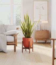 Load image into Gallery viewer, Earth Red stand:walnut