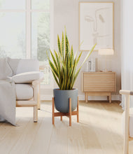 Load image into Gallery viewer, Iron Gray stand:bamboo