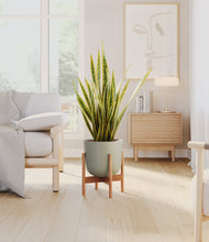 Load image into Gallery viewer, Sage Green stand:bamboo