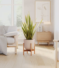 Load image into Gallery viewer, Sandy Pink stand:bamboo