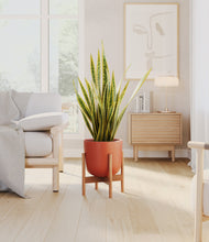 Load image into Gallery viewer, Earth Red stand:bamboo