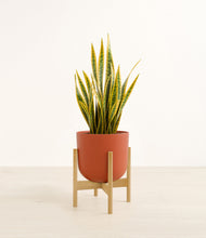 Load image into Gallery viewer, Earth Red stand:bamboo