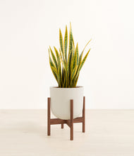 Load image into Gallery viewer, Natural Bamboo stand:walnut