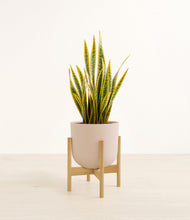 Load image into Gallery viewer, Sandy Pink stand:bamboo