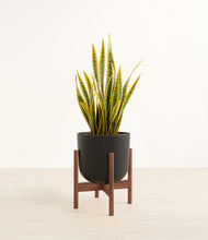 Load image into Gallery viewer, Stone Black stand:walnut