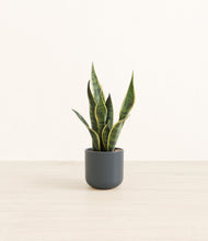Load image into Gallery viewer, Iron Gray*****Profile