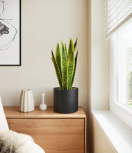 Load image into Gallery viewer, Black