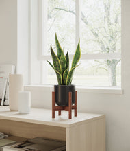 Load image into Gallery viewer, Stone Black stand:walnut