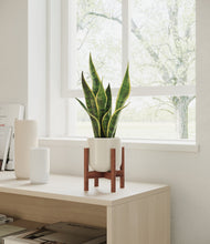 Load image into Gallery viewer, Cotton White stand:walnut