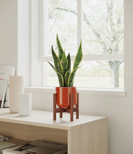 Load image into Gallery viewer, Glossy Red stand:walnut