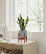 Load image into Gallery viewer, Misty Blue stand:walnut