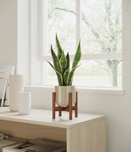 Load image into Gallery viewer, Sage Green stand:walnut