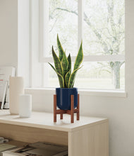 Load image into Gallery viewer, Twilight Blue stand:walnut