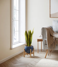 Load image into Gallery viewer, Deep Navy stand:bamboo