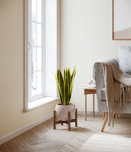 Load image into Gallery viewer, Desert Brown stand:walnut