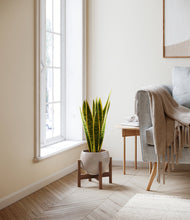 Load image into Gallery viewer, Winter Clouds stand:walnut