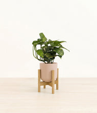 Lade das Bild in den Galerie-Viewer, Sandy Pink stand:bamboo