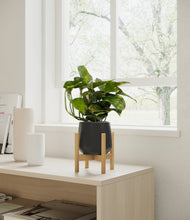 Load image into Gallery viewer, Black stand:bamboo