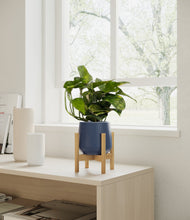 Load image into Gallery viewer, Deep Navy stand:bamboo