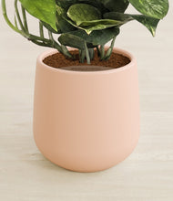 Charger l'image dans la galerie, Gentle Pink stand:all