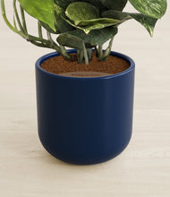 Load image into Gallery viewer, Twilight Blue stand:all