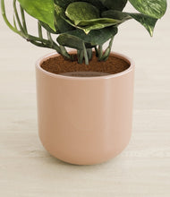 Lade das Bild in den Galerie-Viewer, Glossy Pink stand:all