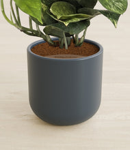 Load image into Gallery viewer, Iron Gray stand:all