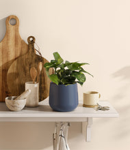 Load image into Gallery viewer, Deep Navy
