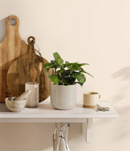 Load image into Gallery viewer, Cotton White