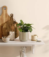 Load image into Gallery viewer, Sage Green