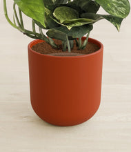 Lade das Bild in den Galerie-Viewer, Earth Red stand:all