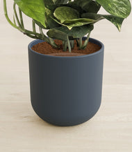 Lade das Bild in den Galerie-Viewer, Iron Gray stand:all