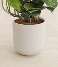 Lade das Bild in den Galerie-Viewer, Natural Bamboo stand:all