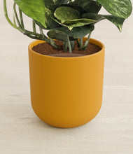 Lade das Bild in den Galerie-Viewer, Sunset Orange stand:all
