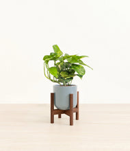 Lade das Bild in den Galerie-Viewer, Misty Blue stand:dark