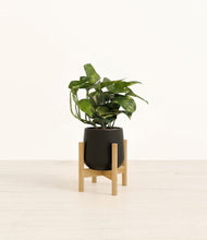 Load image into Gallery viewer, Black stand:bamboo