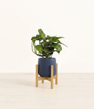 Load image into Gallery viewer, Deep Navy stand:bamboo