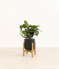 Load image into Gallery viewer, Stone Black stand:bamboo