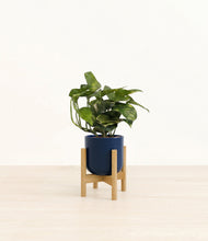 Load image into Gallery viewer, Twilight Blue stand:bamboo