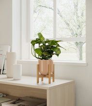 Load image into Gallery viewer, Glossy Pink stand:all