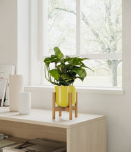 Load image into Gallery viewer, Key Lime Yellow stand:all