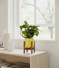 Load image into Gallery viewer, Key Lime Yellow stand:walnut